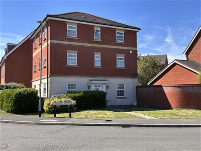 Picture 21